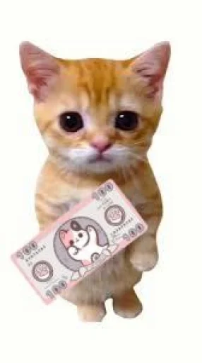 🤩 Стикер «El Gato» для Telegram