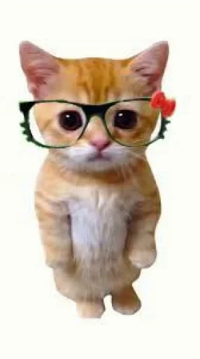 🤩 Стикер «El Gato» для Telegram