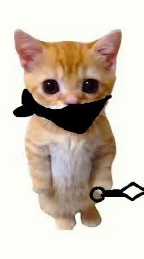 🤩 Стикер «El Gato» для Telegram