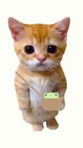 🤩 Стикер «El Gato» для Telegram