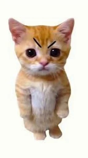 🤩 Стикер «El Gato» для Telegram