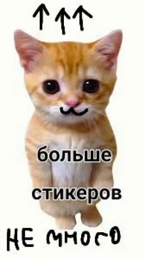 🤩 Стикер «El Gato» для Telegram