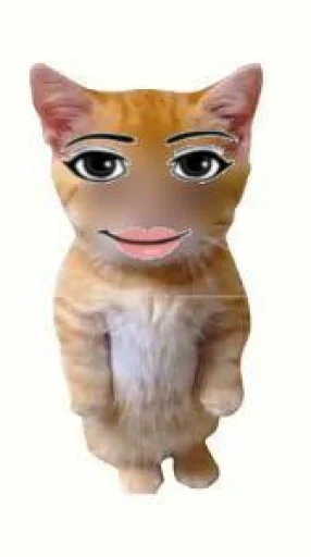 🤩 Стикер «El Gato» для Telegram
