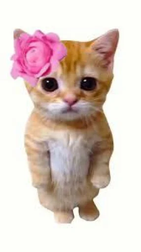 🤩 Стикер «El Gato» для Telegram