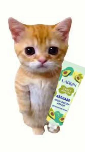 🤩 Стикер «El Gato» для Telegram