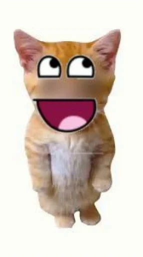 🤩 Стикер «El Gato» для Telegram