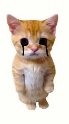 🤩 Стикер «El Gato» для Telegram