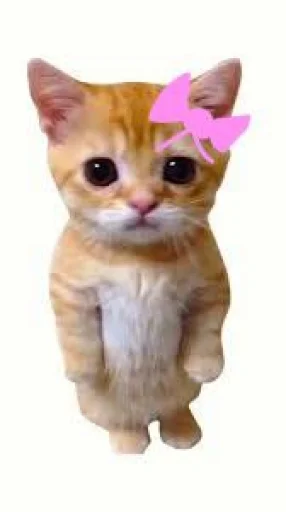 🤩 Стикер «El Gato» для Telegram
