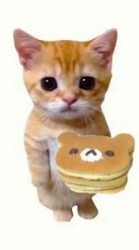 🤩 Стикер «El Gato» для Telegram