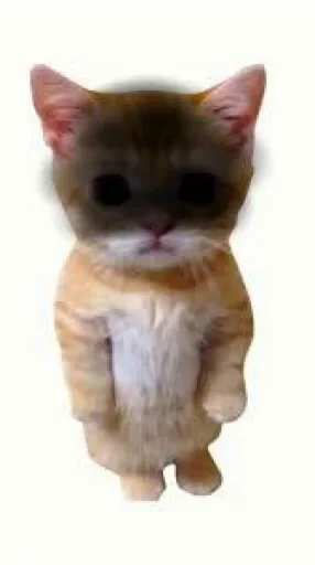 🤩 Стикер «El Gato» для Telegram