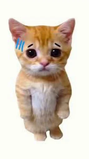 🤩 Стикер «El Gato» для Telegram