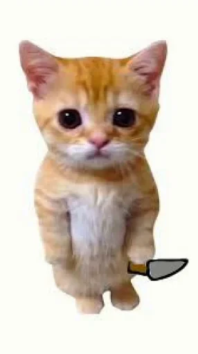 🤩 Стикер «El Gato» для Telegram