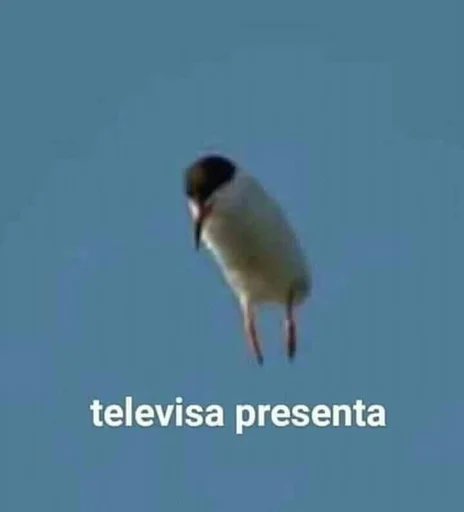 😁 Стикер «Isabella» для Telegram