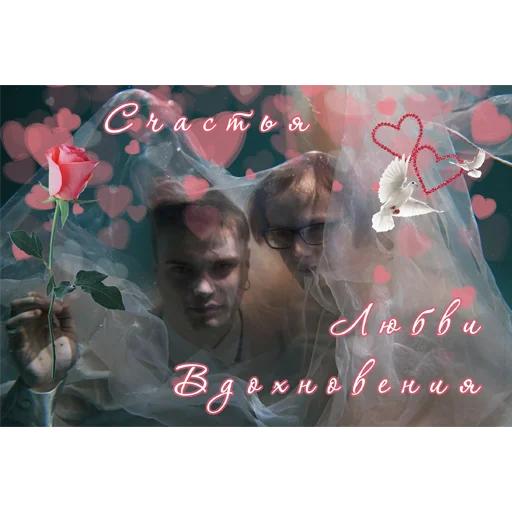 🌹 Стикер «Электрофорез» для Telegram
