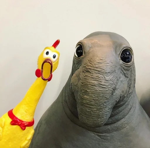 😐 Стикер «Elephant seal» для Telegram