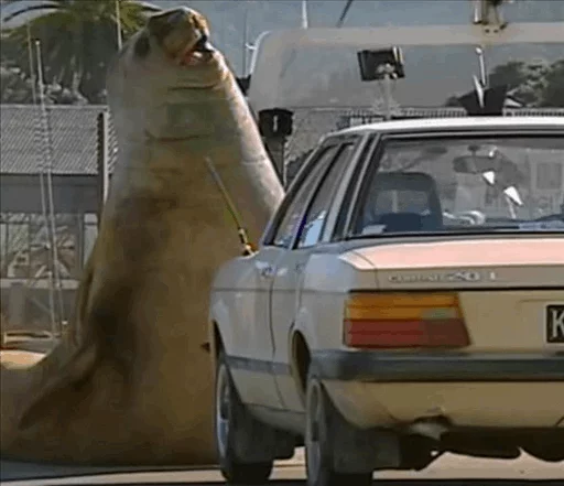 🚗 Стикер «Elephant seal» для Telegram