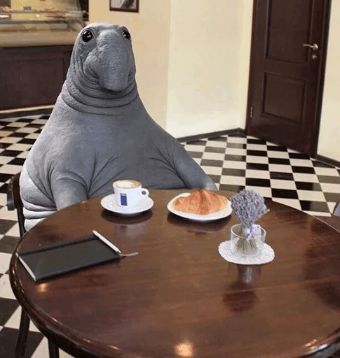 😂 Стикер «Elephant seal» для Telegram
