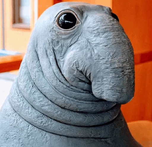 😂 Стикер «Elephant seal» для Telegram