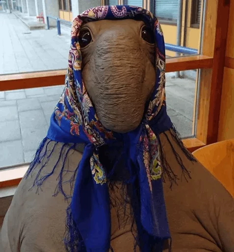 😂 Стикер «Elephant seal» для Telegram