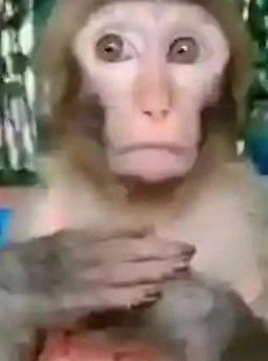 🥺 Стикер «Mono 2» для Telegram