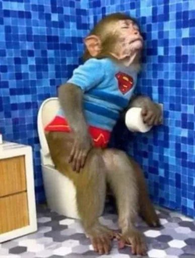🚽 Стикер «Mono 2» для Telegram