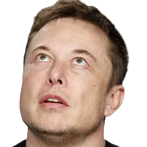🙄 Стикер «Elon Musk / Илон Маск» для Telegram