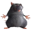 Стикер 44 Ratatouille