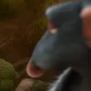 Стикер 18 Ratatouille