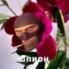 Стикер 50 😺 Team Fortress 2