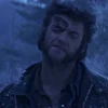 Стикер 5 Wolverine