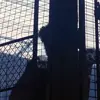 Обложка набора Wolverine