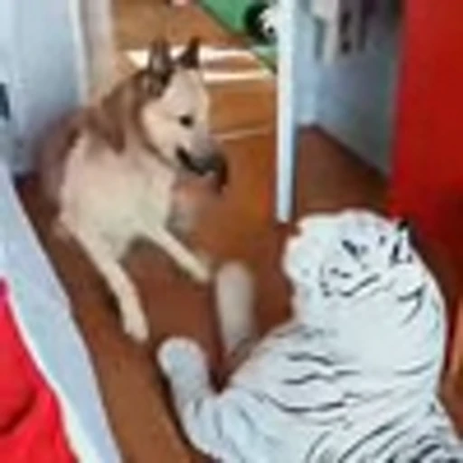 🤩 Эмодзи «Собачки и котики» для Telegram