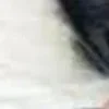 Стикер 19 Created