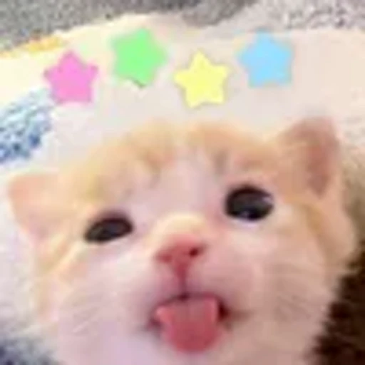 ❤️ Эмодзи «котики из тиктока» для Telegram