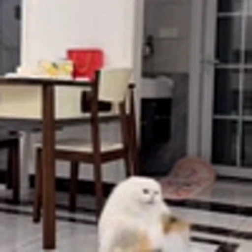 🤩 Эмодзи «Котаны» для Telegram