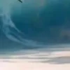 🎨 Эмодзи «нейромракобесие НАРЕЗАТЬ ПАК» для Telegram