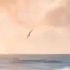 🎨 Эмодзи «нейромракобесие НАРЕЗАТЬ ПАК» для Telegram