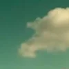 🎨 Эмодзи «нейромракобесие НАРЕЗАТЬ ПАК» для Telegram