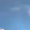 🎨 Эмодзи «нейромракобесие НАРЕЗАТЬ ПАК» для Telegram
