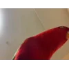 Стикер 26 Видеопопуги