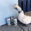 Стикер 7 Видеопопуги