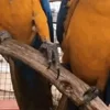 Стикер 48 Видеопопуги