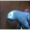Стикер 47 Видеопопуги