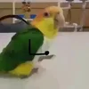 Стикер 18 Видеопопуги