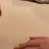 Стикер 8 Видеопопуги