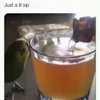 Стикер 4 Видеопопуги