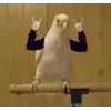 Стикер 12 Видеопопуги