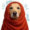 🥶 Эмодзи «Песики» для Telegram