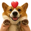 😍 Эмодзи «Песики» для Telegram