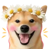 🌹 Эмодзи «Песики» для Telegram